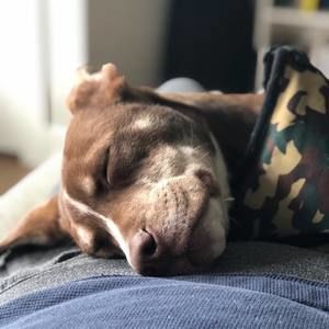 Meet your Posher, Ruby